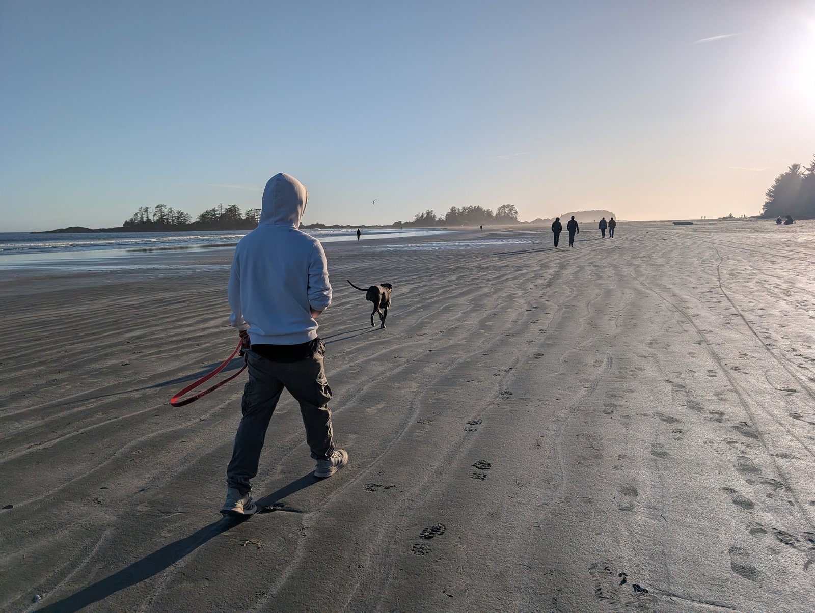 Hansen walking Zaire on the beach at Tofino, with the rest of the OverSushi team farther up the shoreline.